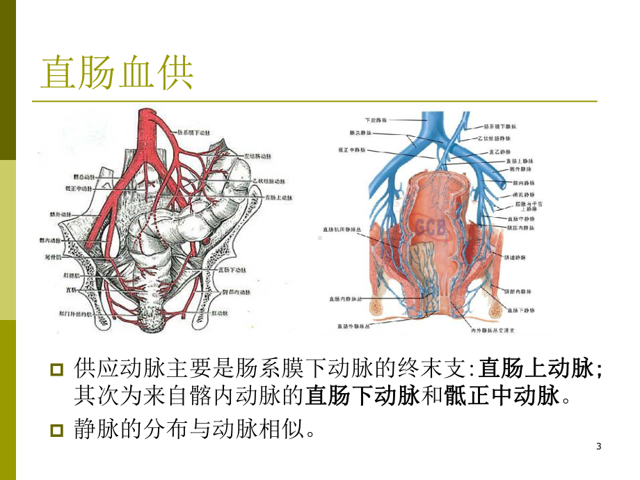 腹腔镜直肠癌根治术术中配合PPT课件.pptx_第3页