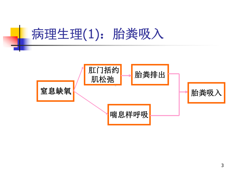 胎粪吸入综合征PPT课件.ppt_第3页