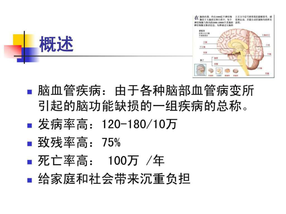 脑血管疾病病人护理课件.ppt_第2页