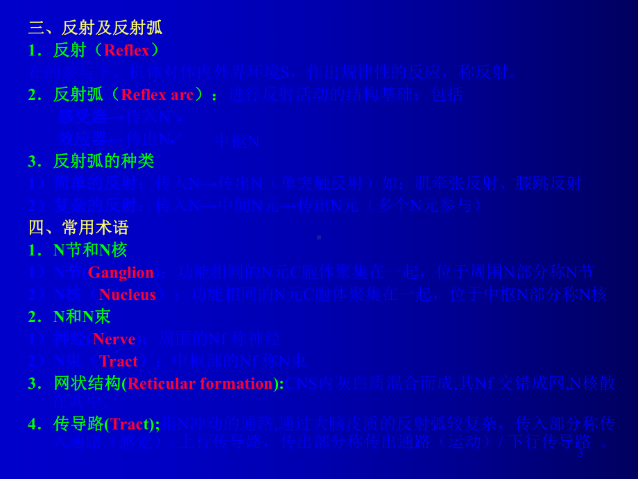 人体组织解剖-神经系统(Nervous-System)课件.ppt_第3页