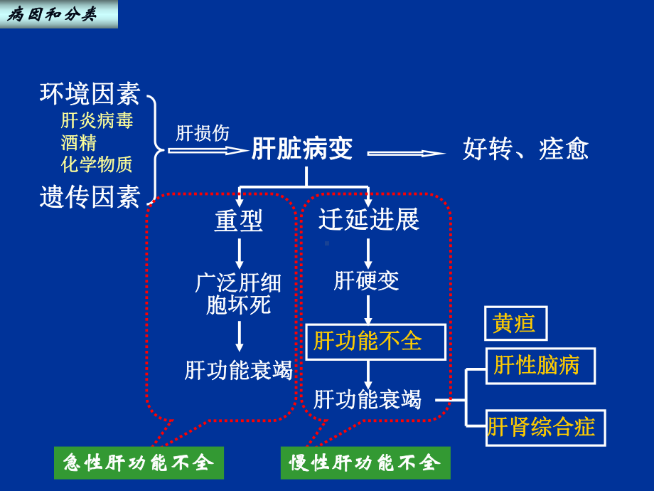 肝功能不全护理学共51页课件.ppt_第3页