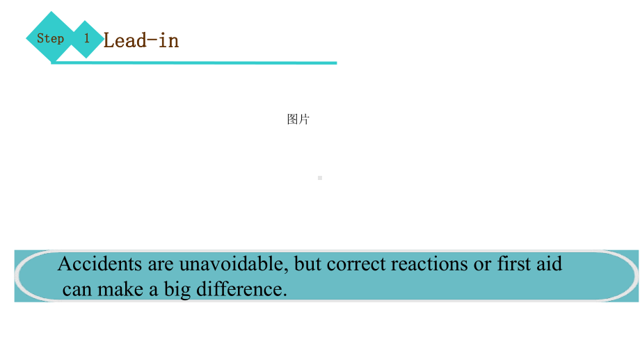 Unit 3 Lesson 7 project课件（2020）新牛津译林版高中英语选择性必修第二册.pptx_第2页