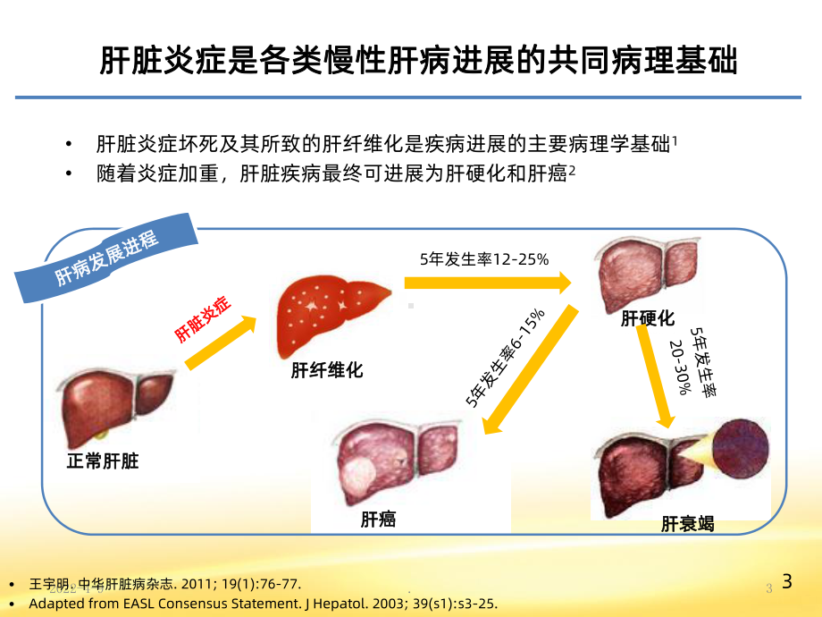 抗炎保肝在肝炎肝硬化治疗中的作用PPT课件.ppt_第3页