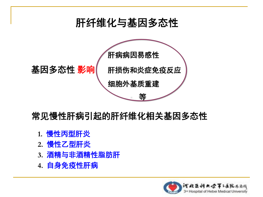 肝纤维化新进展PPT课件.ppt_第3页