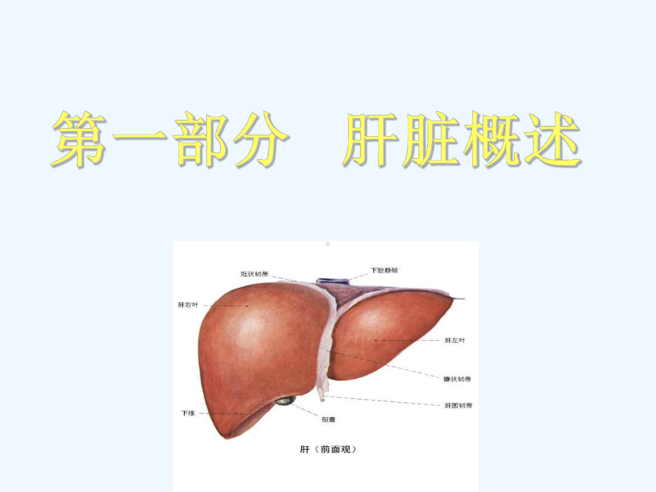 肝脏疾病和营养详解课件.ppt_第2页