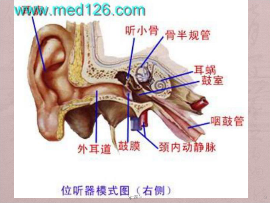 神经性耳聋-ppt课件.ppt_第3页