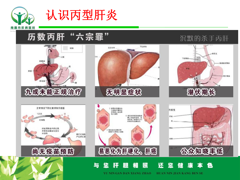 (精)丙型肝炎防治知识讲座PPT课件.ppt_第2页