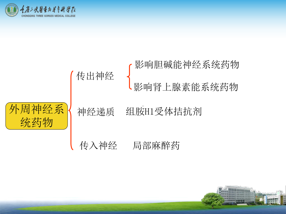 外周神经系统药物课件.ppt_第3页