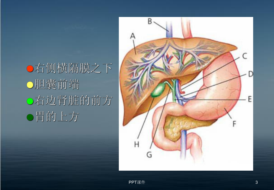 慢性乙型肝炎防治知识-ppt课件.ppt_第3页