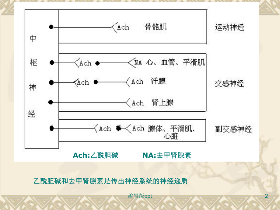 外周神经系统药物1课件.ppt_第2页