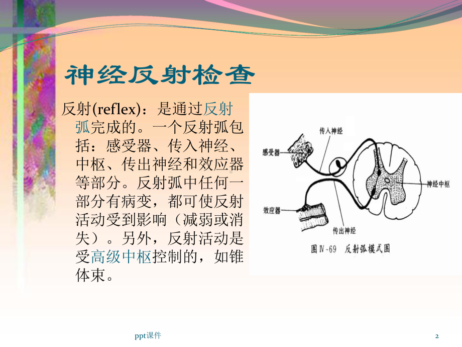 病理反射和脑膜刺激征-ppt课件.ppt_第2页