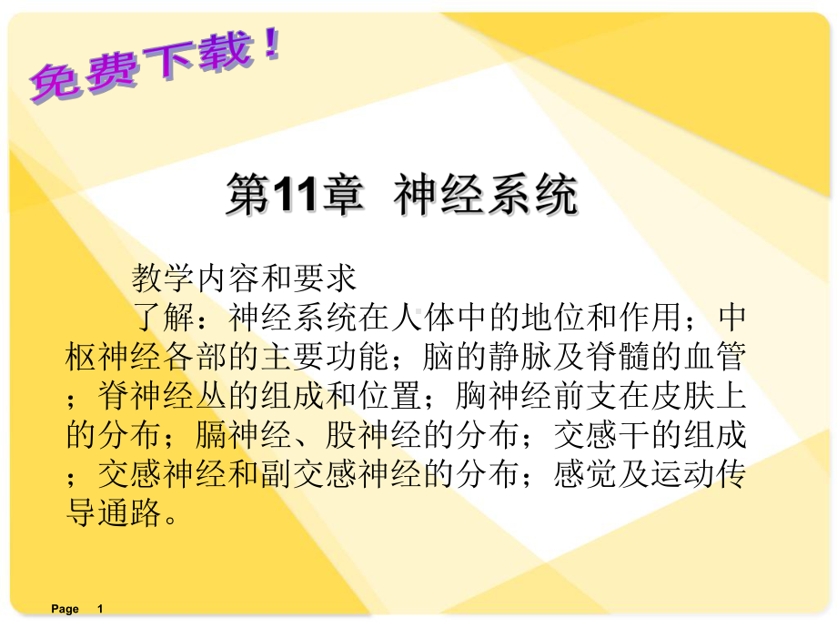 解剖学基础课件第11章-神经系统汇总.ppt_第1页