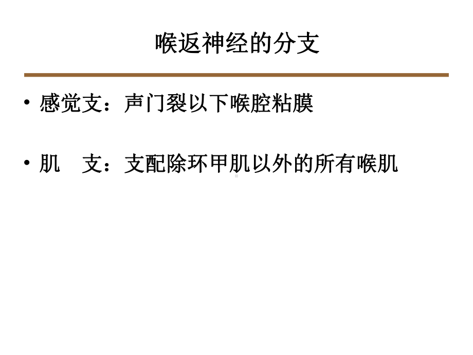 喉返神经解剖技术外科进展课件.ppt_第3页