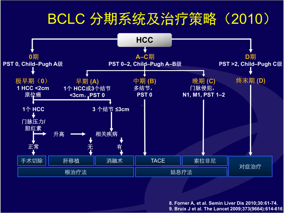 BCLC指南和肝癌患者的综合治疗课件.pptx_第3页