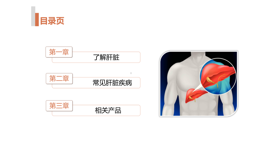 脂肪肝肝囊肿PPT课件.ppt_第2页