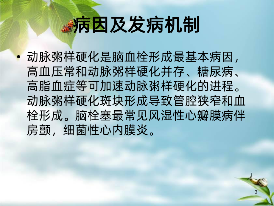 出血性脑梗死的护理查房PPT课件.ppt_第3页