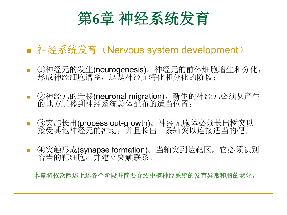 神经生物课件-神经系统发育.ppt_第1页