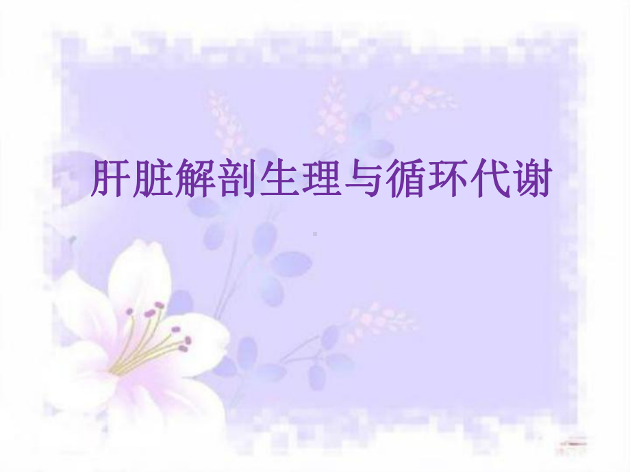 肝脏的生理PPT课件.ppt_第3页