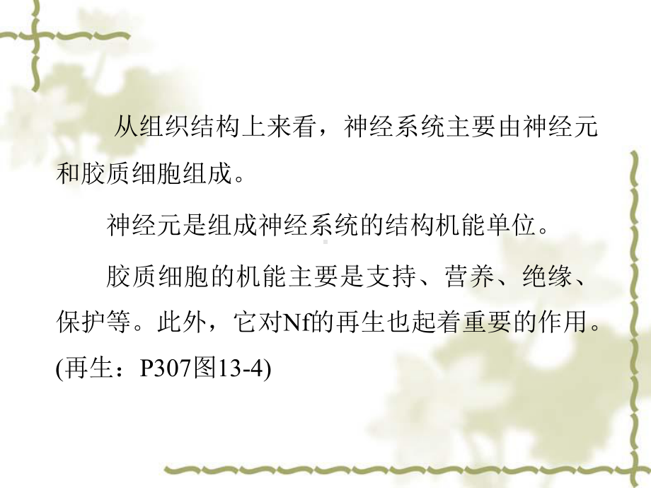 神经系统的运动课件.ppt_第3页