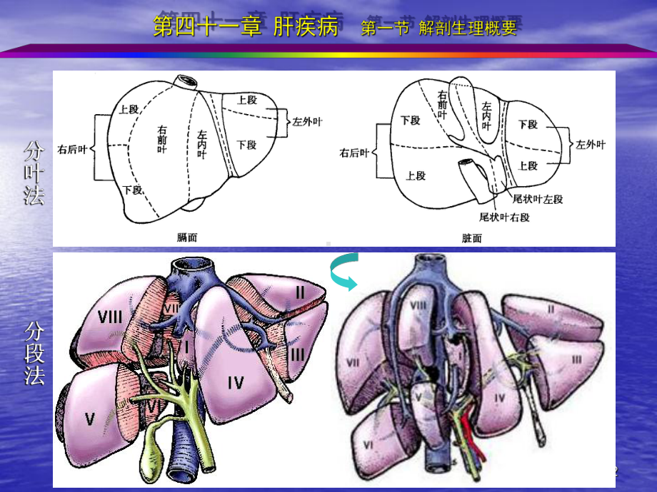 外科学肝疾病ppt课件.ppt_第2页