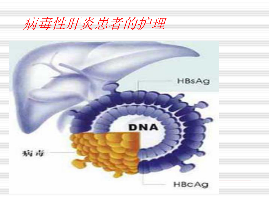 病毒性肝炎患者护理课件.ppt_第1页