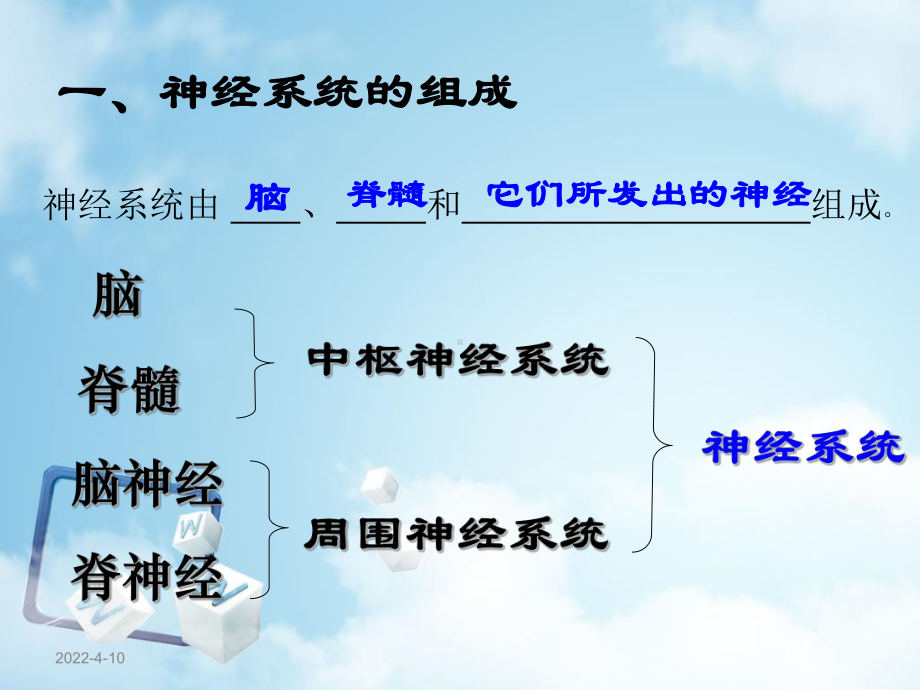 第二节-神经系统的组成课件.ppt_第3页