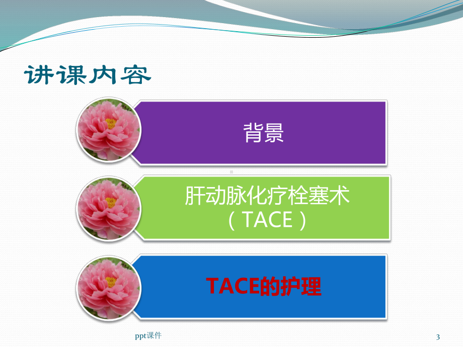 肝动脉化疗栓塞术(TACE)-ppt课件(同名114).pptx_第3页