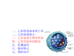 乙肝病毒介绍(专业知识)-课件.ppt