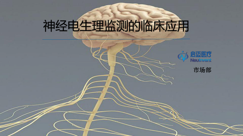 神经电生理监测的临床应用课件.ppt_第1页