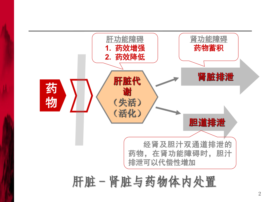 肝功能不全临床用药PPT课件.ppt_第2页