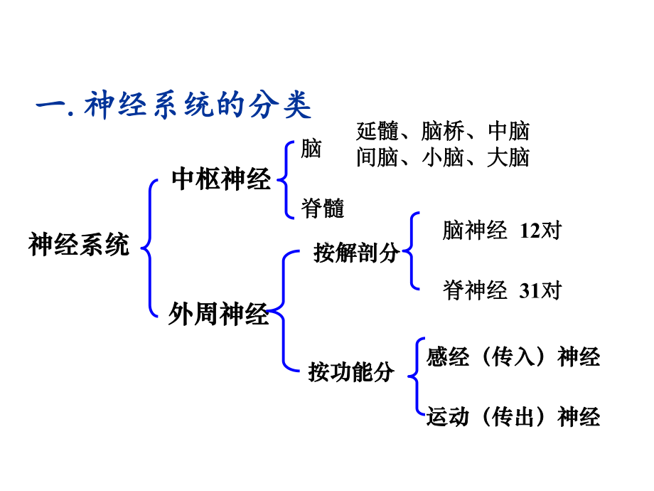 第一节传出神经系统药物概述课件.ppt_第3页