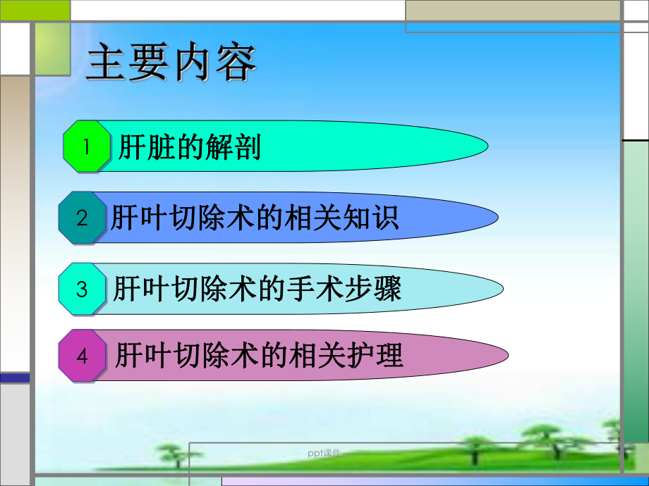 肝叶切除手术配合-ppt课件.ppt_第2页