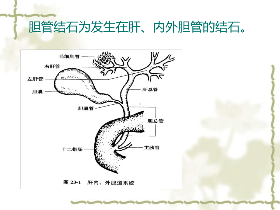 肝内胆管结石病人的护理.ppt课件.ppt_第2页