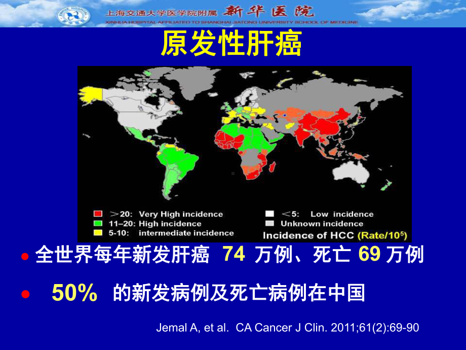 -肝癌规范手术治疗PPT课件.ppt_第2页