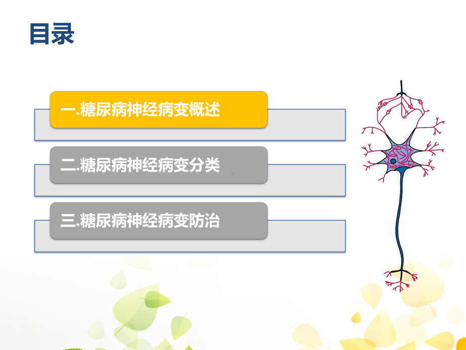 糖尿病神经病变及筛查PPT课件.ppt_第2页