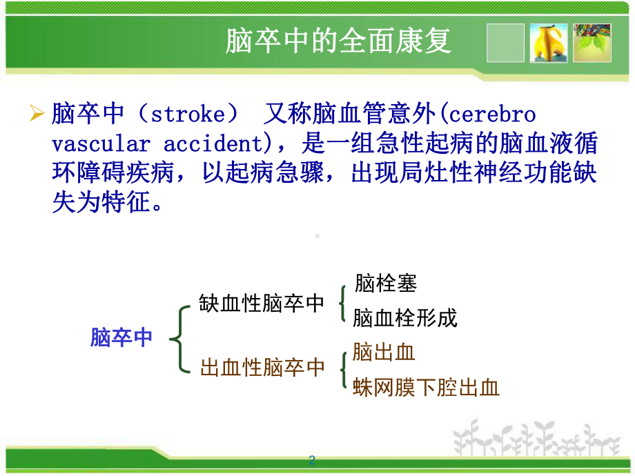 脑卒中的康复-ppt课件.ppt_第2页