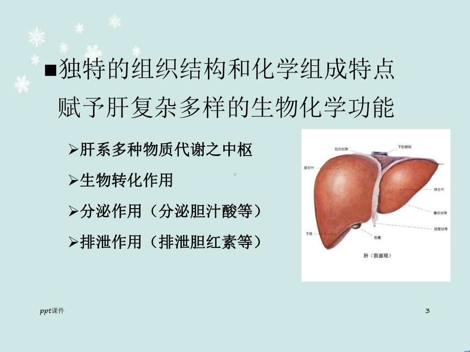 肝脏在脂类代谢中的作用-ppt课件.ppt_第3页