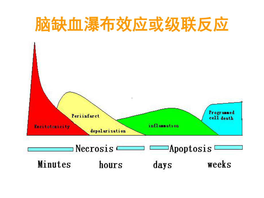 脑梗死的分型和分期治疗课件.ppt_第2页