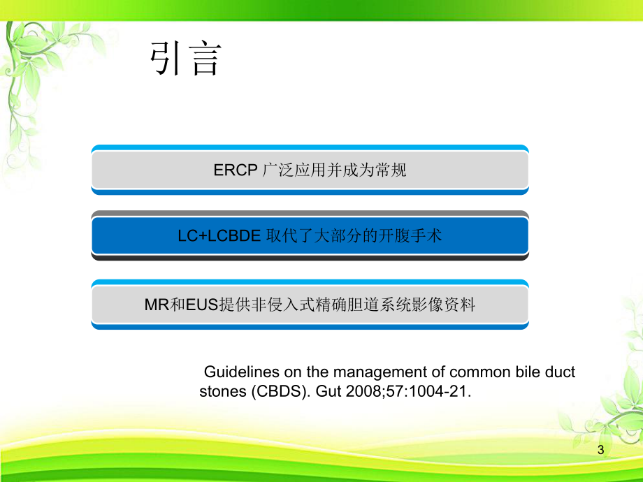 肝外胆管结石治疗进展-ppt课件.ppt_第3页