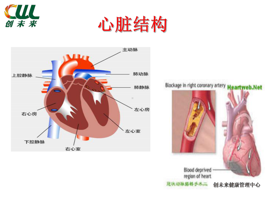 老年医学保健心脑血管疾病养护PPT课件.ppt_第2页