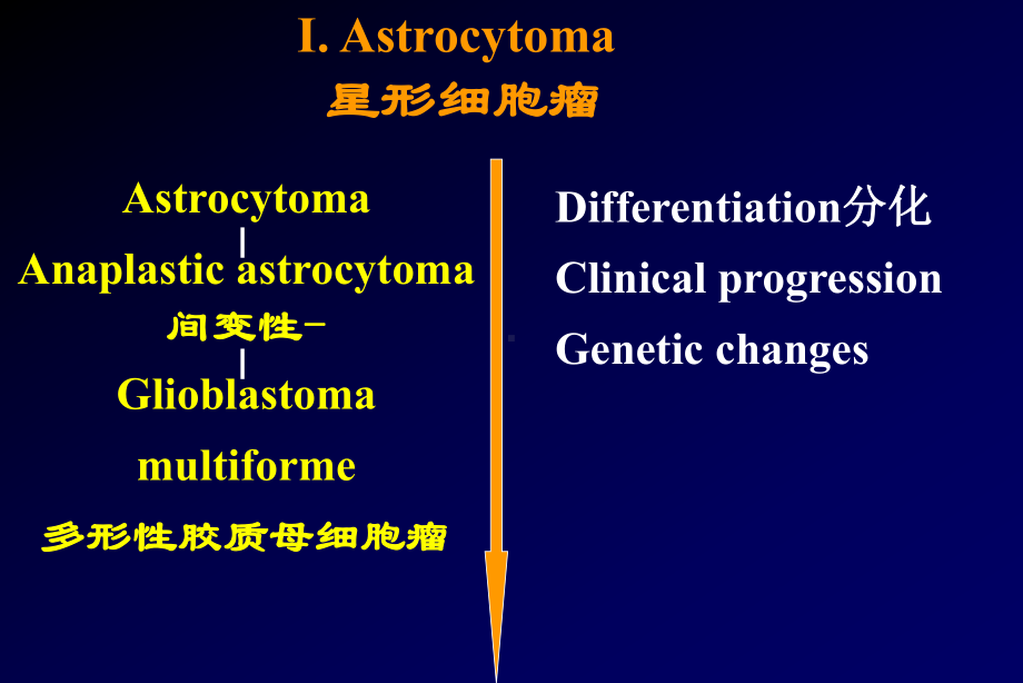 基础医学北大病理学PPT课件 脑部肿瘤.ppt_第3页