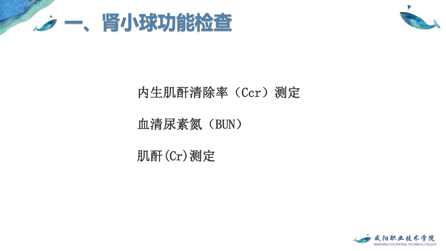 第五单元-实验室检查评估(3)肾功能检查评估、肝课件.pptx_第2页