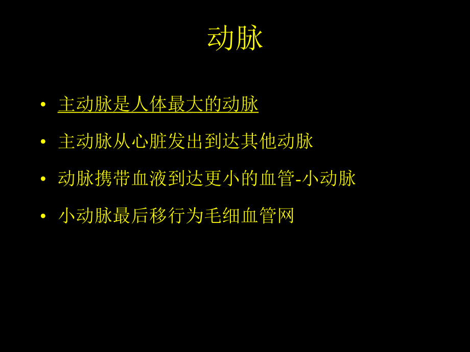 神经血管的解剖-ppt课件.ppt_第3页