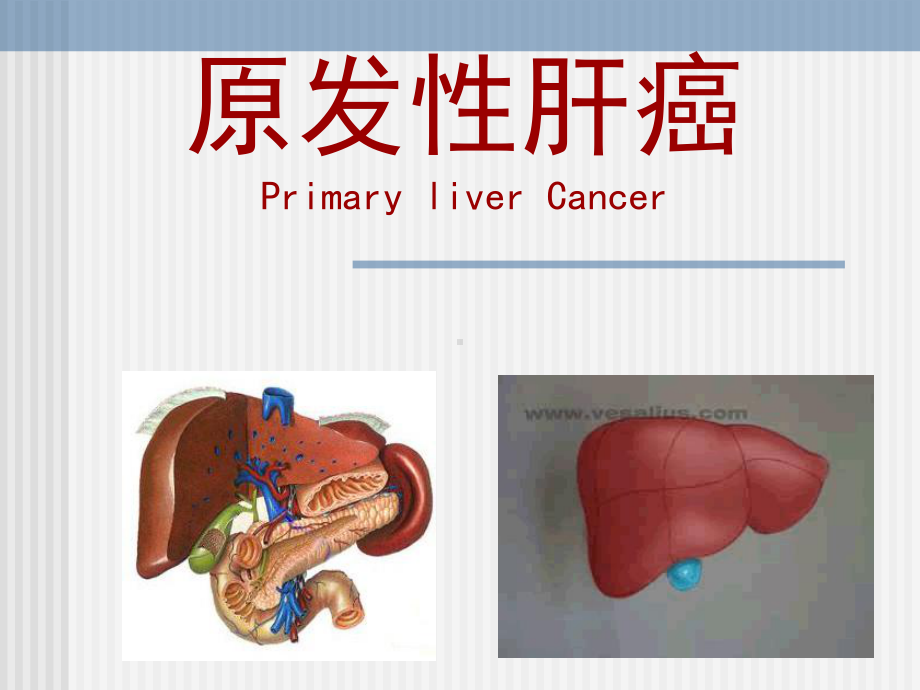 原发性肝癌-大学课件.ppt_第1页