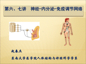 神经、内分泌与免疫调节网络课件.ppt