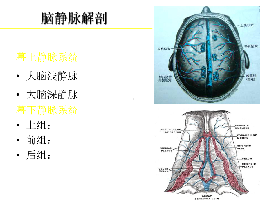 脑静脉和静脉窦血栓形成的影像学诊断(程敬亮)pp课件.ppt_第3页