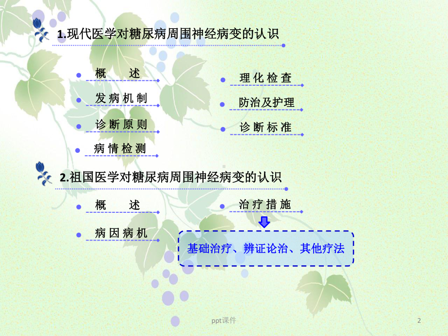 中医药防治糖尿病周围神经病变-ppt课件.ppt_第2页