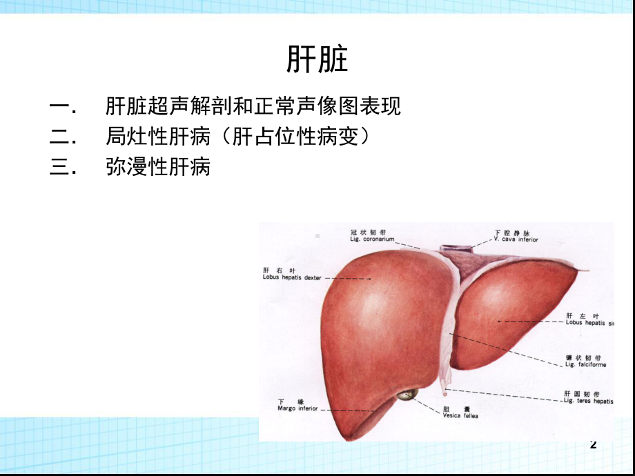 超声诊断学肝胆胰脾精选PPT课件.ppt_第2页