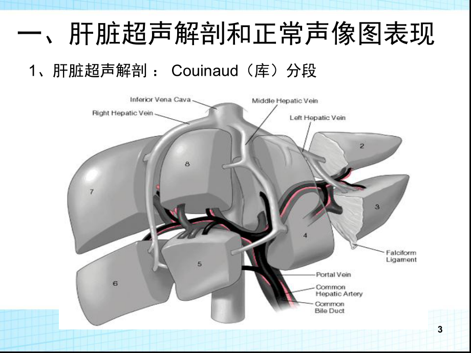 超声诊断学肝胆胰脾精选PPT课件.ppt_第3页