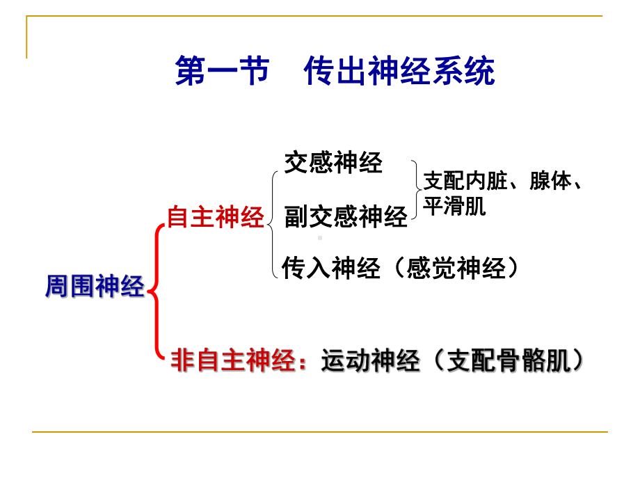 药理学第二章外周神经系统药理课件.ppt_第3页